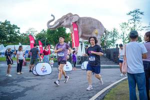 BIB: 
                            <button type="button" onclick="openModal(26551668)" class="btn btn-primary btn-sm float-right btn-popup" data-toggle="modal" data-target=".modal-high-quality">
                        <i class="fas fa-shopping-cart"></i> Add to Cart
                    </button>
                                            <button type="button" onclick="isThisMe(26551668, true)" class="btn btn-success btn-sm float-right btn-popup btn-isme hidden" data-toggle="tooltip" data-placement="bottom" title="นี่คือรูปของคุณใช่ไหม คลิกที่นี่เพื่อเอาเข้าอัลบั้ม">
                        <i class="fas fa-plus"></i> Add to album
                    </button>
                    <button type="button" onclick="isThisMe(26551668, false)" class="btn btn-warning btn-sm float-right btn-popup btn-isnotme hidden">
                        <i class="fas fa-ban"></i> Remove from album
                    </button>